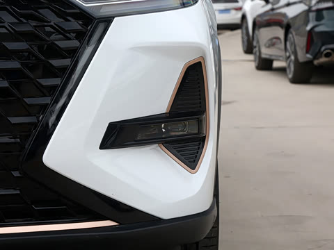 2024�� �ھ��� 390T �����۷�� 5��