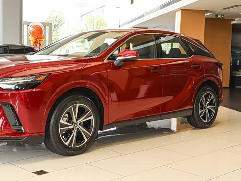 2025�� 300 ����������