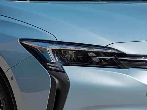 2020�� �����ǻ��� PLUS