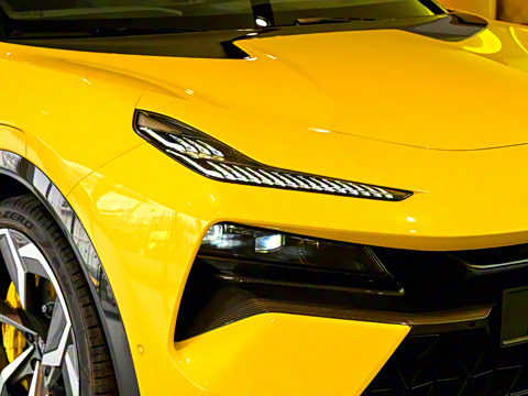 2025�� 900 ������