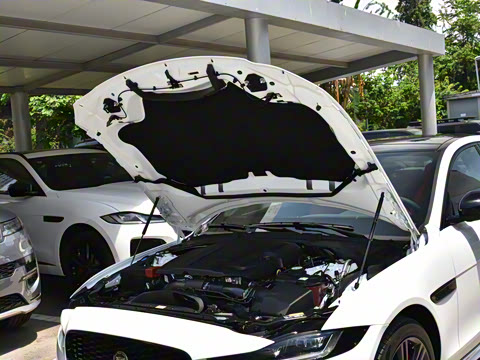 2025�� 2.0T 250PS R-DYNAMIC 90�����ذ�