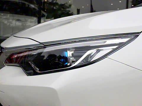 2019�� 1.6L XE �ֶ����ʰ�