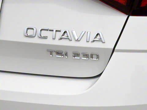 2019�� TSI230 DSG���к����� ��VI