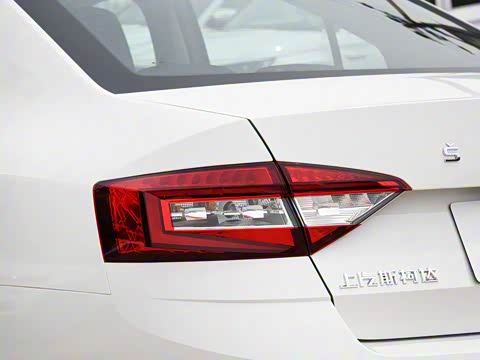 2019�� TSI230 DSG���к����� ��VI