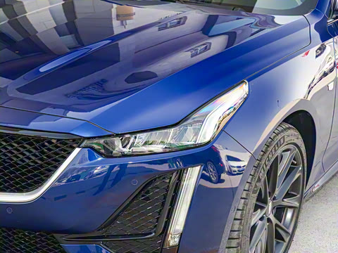 2023�� 28T ������