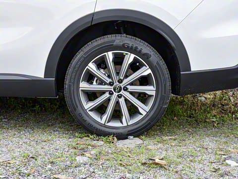 2025�� 2.0T ��������� 7��