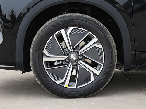 2025�� 55km ������