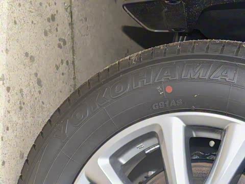 2025�� 2.0L �Զ�����������