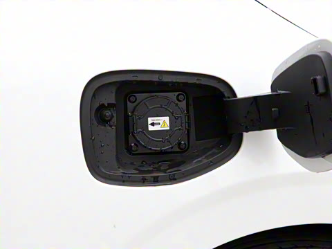 2021�� �촴��