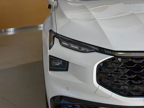 2022�� EcoBoost 245 �˶���