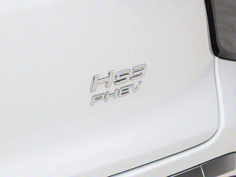 2025�� 117km ��ΪPLUS��