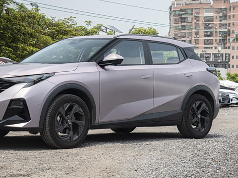 2025�� Ӱ�� 270T ������ ƽ������