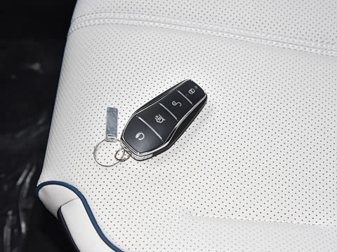 2023�� �ھ��� DM-i 120KM �����