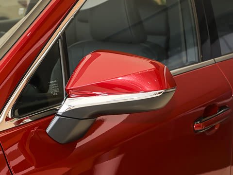 2025�� 300 ����������