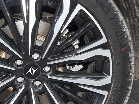 2026�� �������������