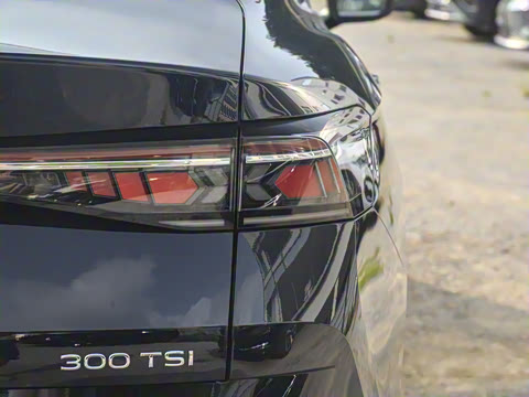 2024��  300TSI DSG���������۰�