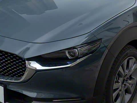 2020�� 2.0L �Զ�������