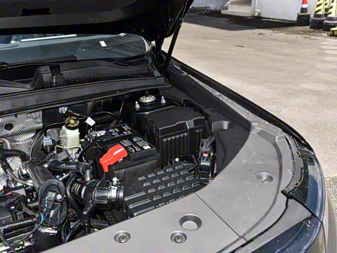 2025�� ���ܰ� 1.5T ��������