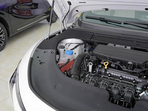 2025�� 235���� ������