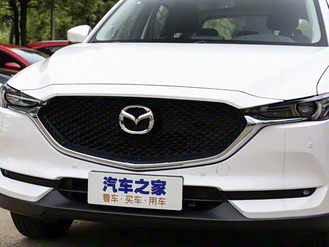 2020�� �Ŀ� 2.0L �Զ�����������