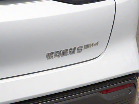 2025�� 130km EM-i ����