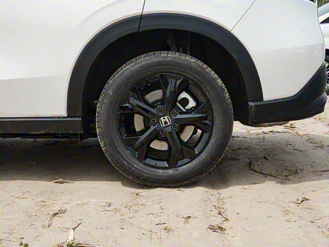 2023�� 2.0L e:HEV �����Ȱ�