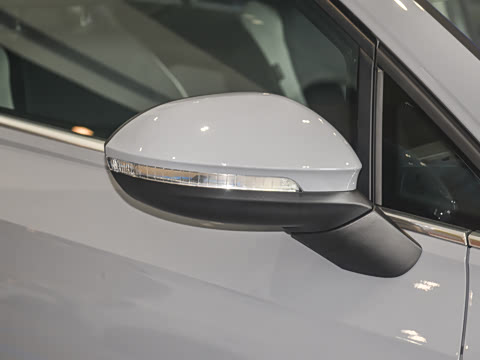 2025�� �Ŀ� 300TSI Pro