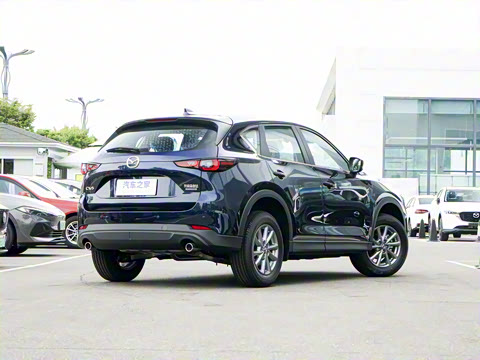 2025�� 2.0L �Զ�����������