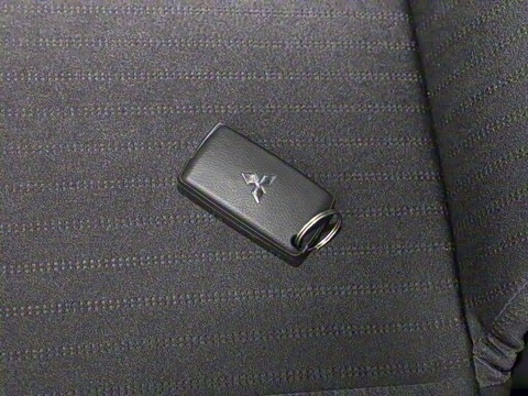 2020�� ��ذ� 3.0L �Զ�����ԽҰ��