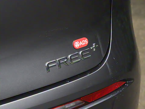 2025�� FREE+ ����Ǭ����