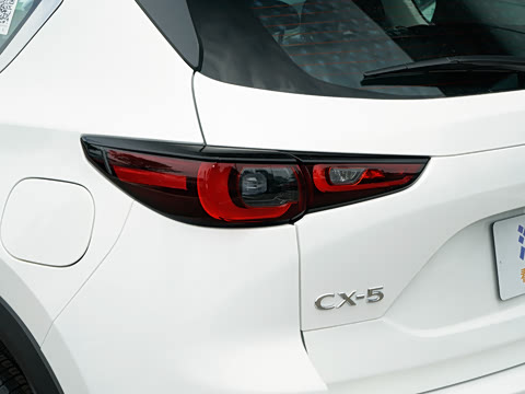 2025�� 2.0L �Զ�����������