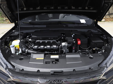 2025�� 1.5L �Զ������