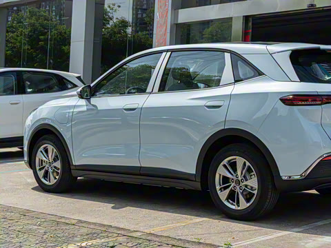 2025�� 445km ���ð�