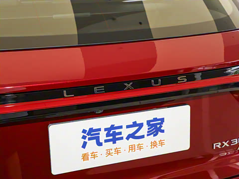 2025�� 300 ����������