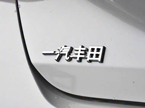 2019�� 2.5L ��ȡ�� ��V