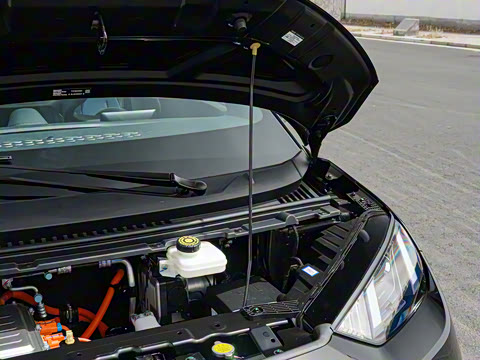 2025�� �Ǽݰ� 305km ������