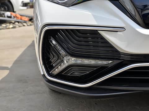 2019�� ������������