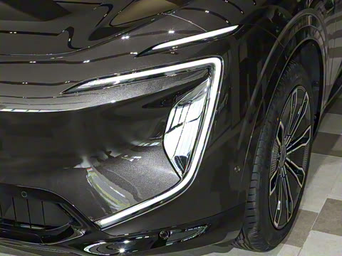 2024�� Max�����