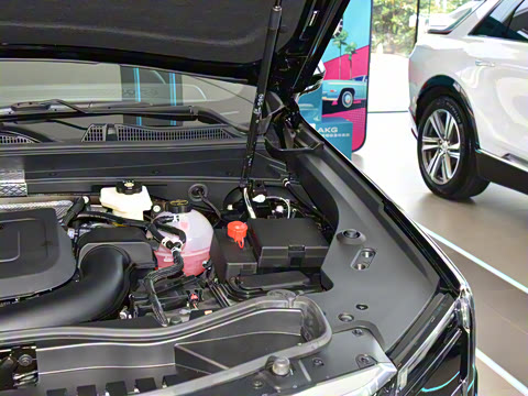 2024�� �Ŀ� 28T ����������