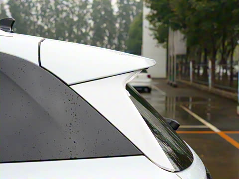 2021�� Pure ������