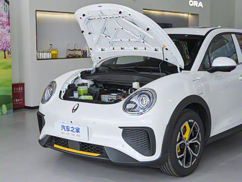 2025�� ľ���� 430km ������