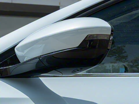 2025�� 445km ���ð�