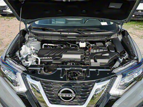 2025�� ���� 2.0L �������Ȱ�