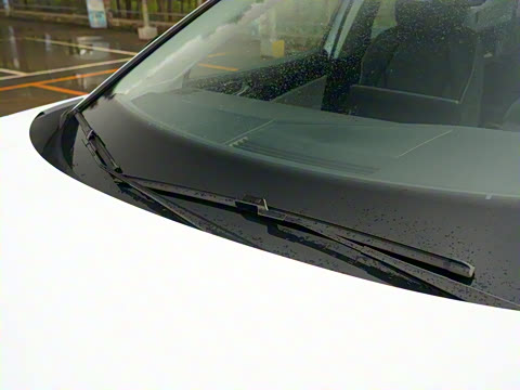 2021�� Pure ������