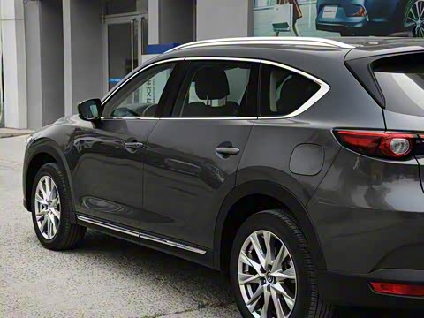 2019�� 2.5L ����������