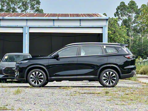 2025�� 290TGDI DCT����� 7��