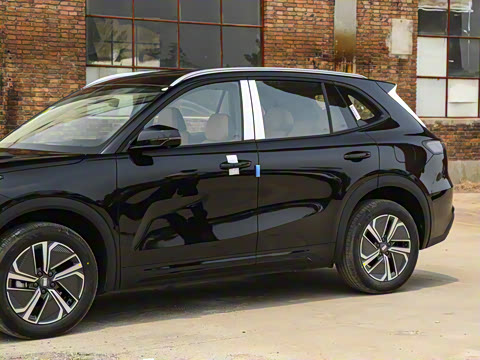 2025�� 55km ������