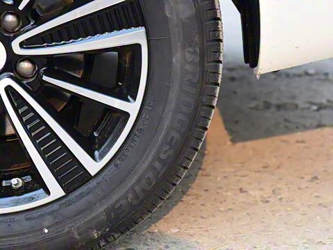 2019�� ���������