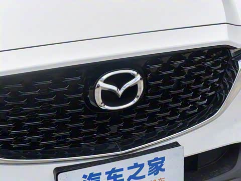 2025�� 2.0L �Զ�����������