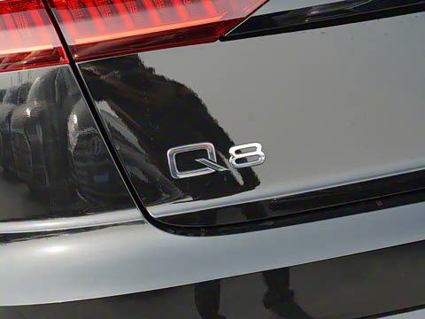 2022�� 55 TFSI ��ѩ�˶���